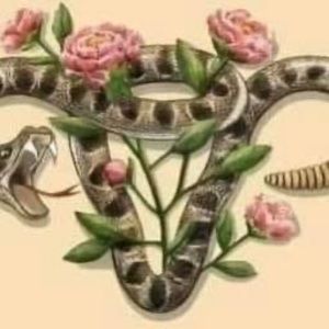 Meet your Posher, Brianne